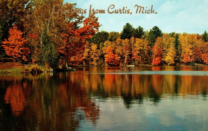 Curtis - Vintage Postcard (newer photo)